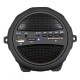 Аудиосистема портативная Dialog Progressive AP-920 (Bluetooth, FM, MP3, AUX), 10Вт