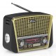 Аудиосистема портативная Ritmix RPR-050, золотистый (FM, MP3, AUX)
