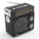Аудиосистема портативная Ritmix RPR-202, чёрный (FM, MP3)