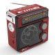 Аудиосистема портативная Ritmix RPR-202, красный (FM, MP3)