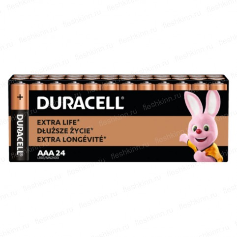 Батарейка Duracell Basic AAA, LR03 BOX24 (192)